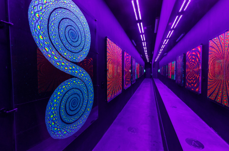MEDIA INVITED TO “WINK WORLD: PORTALS INTO THE INFINITE”  FOR LIVE PAINTING EVENT