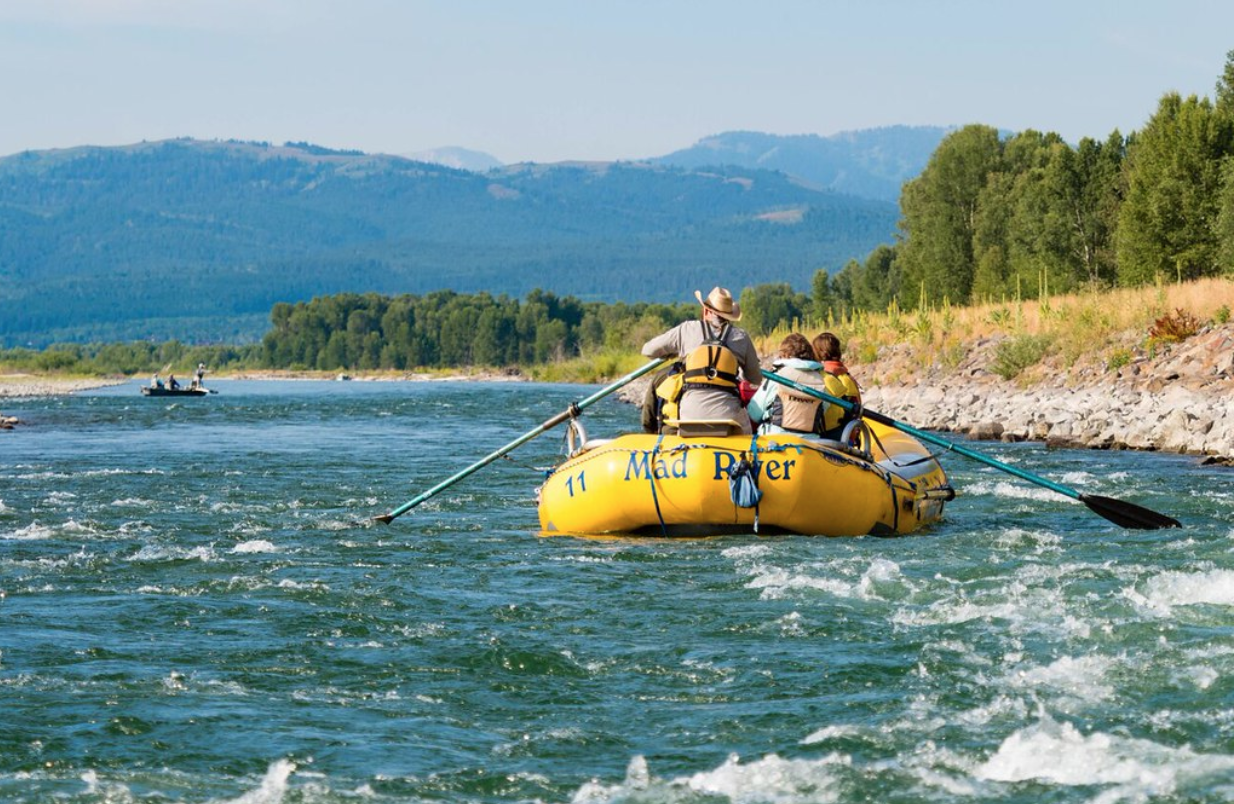 MAD RIVER BOAT TRIPS OFFERS EARLIEST ACCESS FOR WHITEWATER RAFTING, BEST WILDLIFE VIEWING ON WILD AND SCENIC SNAKE RIVER