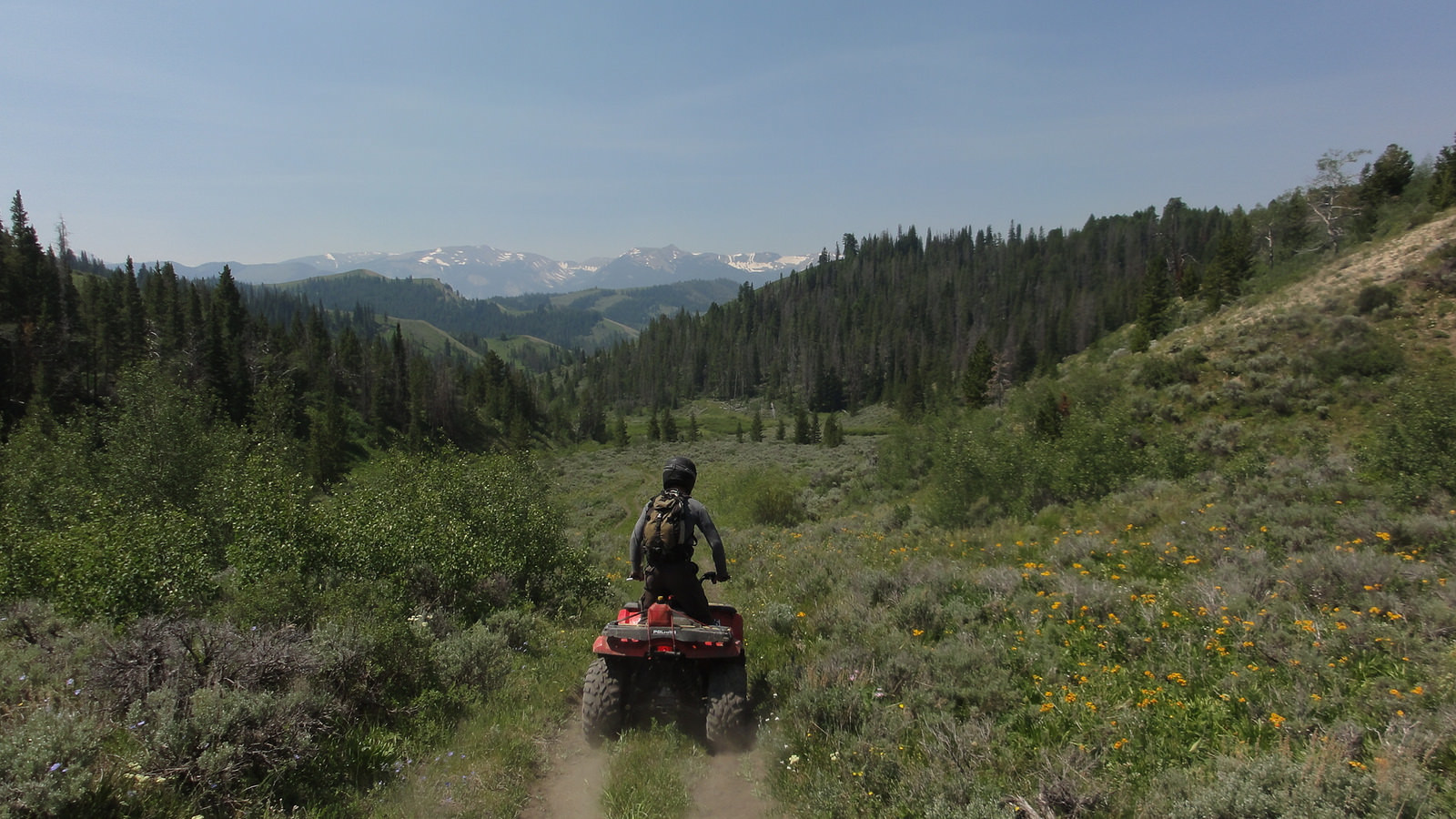 EXPERIENCE SUMMER WITH SCENIC SAFARIS SIDE-BY-SIDE GUIDED TOURS AND PRIVATE RENTALS