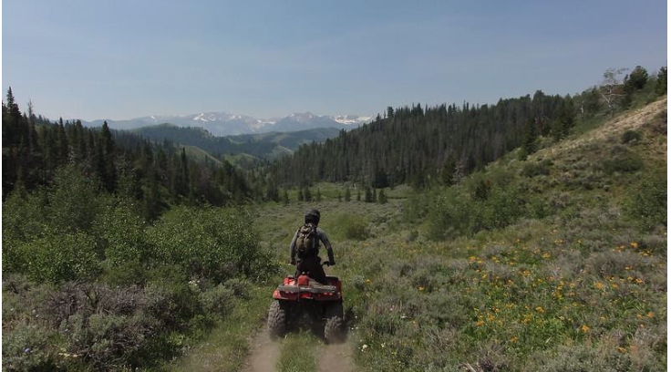 SCENIC SAFARIS PLANS TO OPEN SELECT TOURS  AROUND JUNE 15 FOR SUMMER 2020