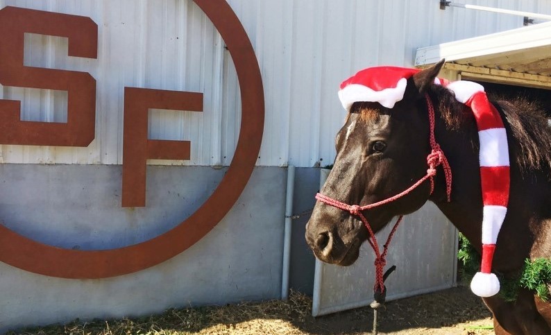 TRAIL RIDE WITH SANTA AT SOUTHFORK RANCH