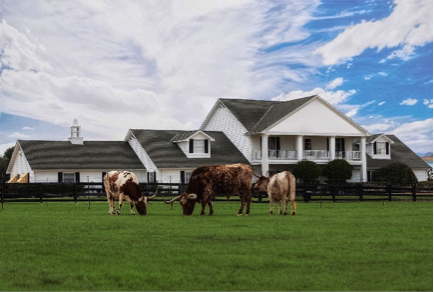 MIX BOOTS AND BUSINESS WITH MEETINGS AT VAST, VERSATILE SOUTHFORK RANCH