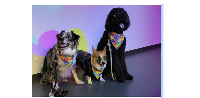 PARADOX MUSEUM LAS VEGAS INVITES COMMUNITY TO BRING THEIR DOGS TO “PARADOX PUPPY PAWTY” EVENT
