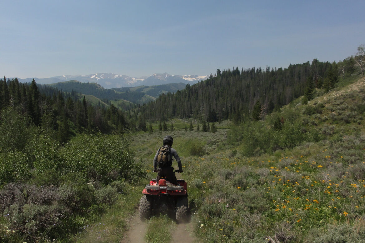 EXPERIENCE SUMMER WITH SCENIC SAFARIS SIDE-BY-SIDE GUIDED TOURS AND PRIVATE RENTALS