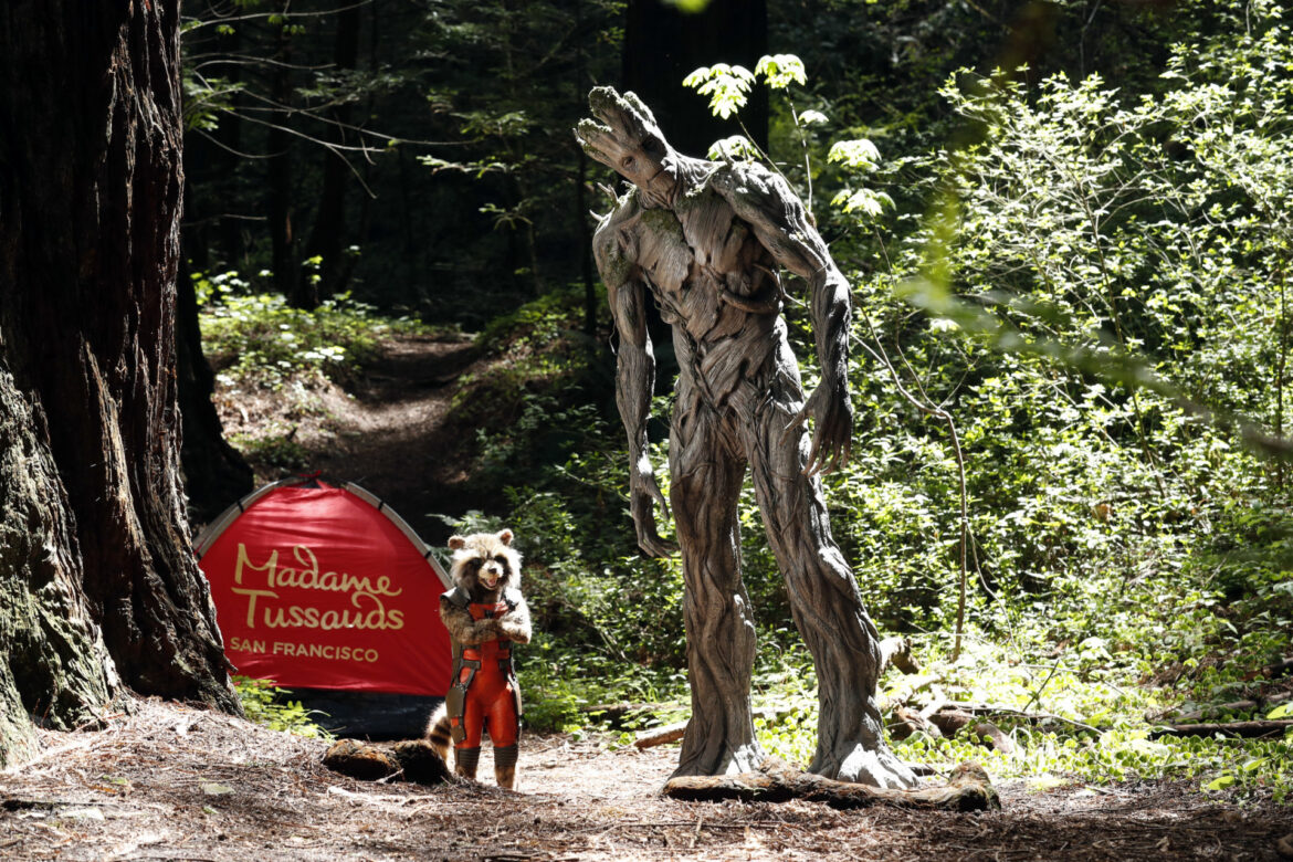 GUARDIANS OF THE GALAXY ROCKET, GROOT REUNITE AT MADAME TUSSAUDS SAN FRANCISCO