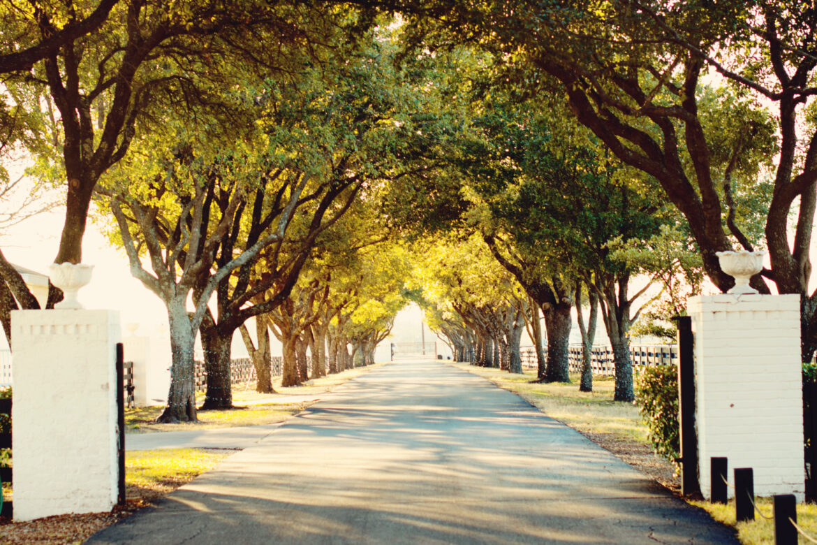 THIS SATURDAY, JUNE 22, DFW WORLD VILLAGE FESTIVAL TO TAKE PLACE AT SOUTHFORK RANCH