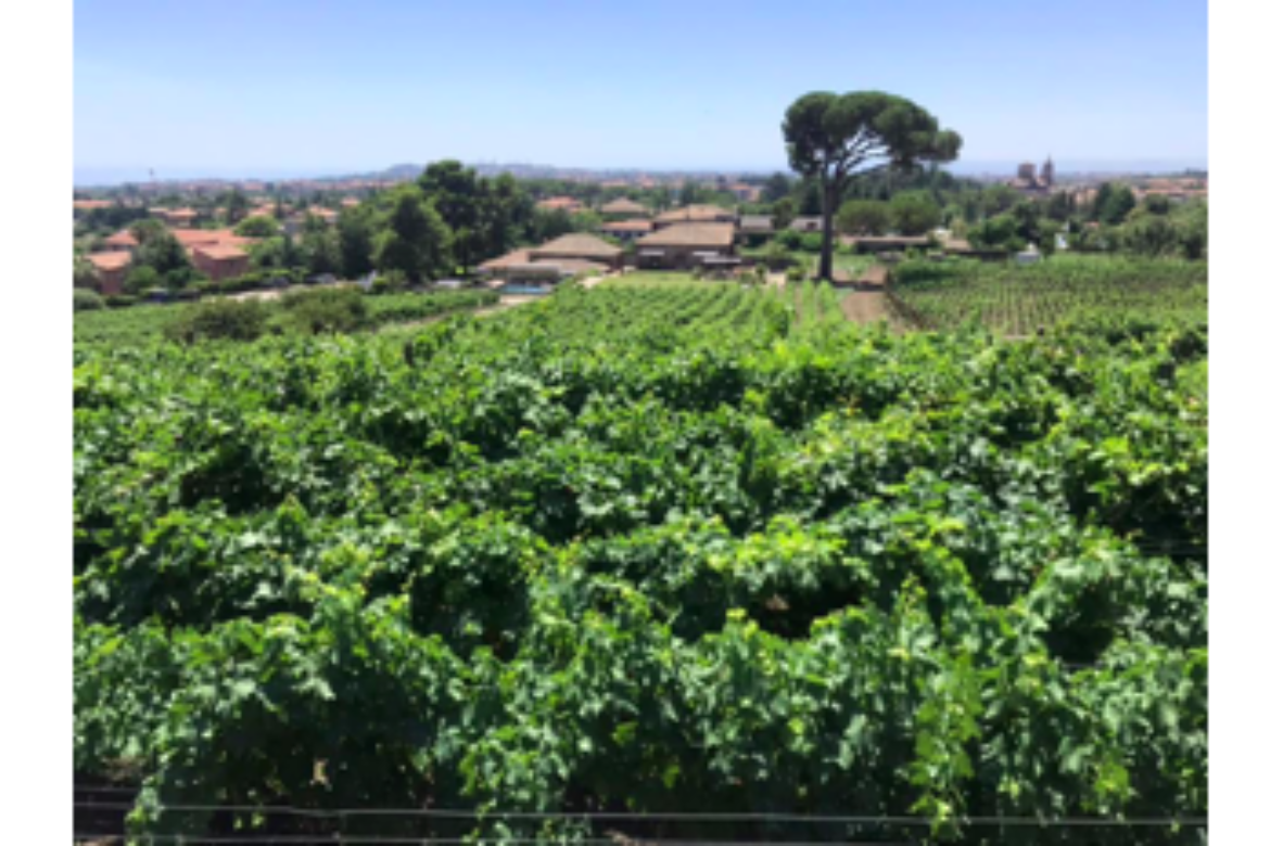 FERRARO’S TO SHOWCASE MT. ETNA’S ACCLAIMED BENANTI WINERY AT ONE-NIGHT-ONLY DINNER, SEPT. 18