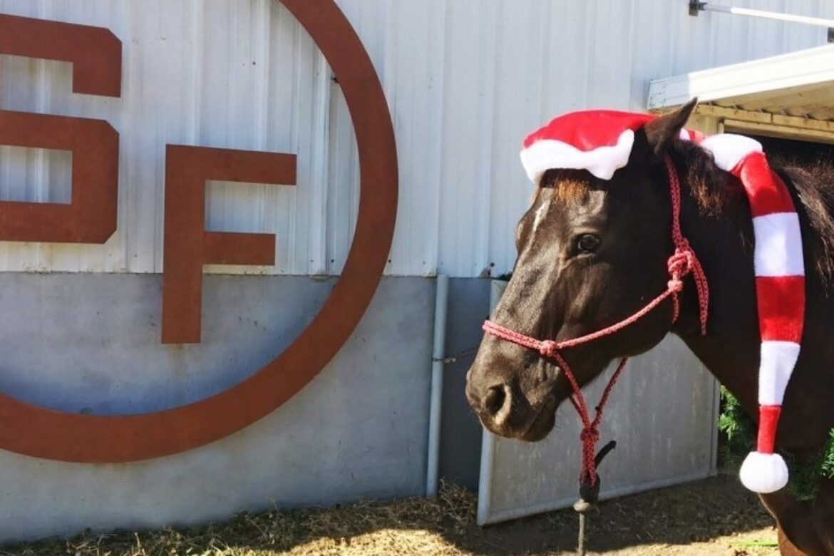 TRAIL RIDE WITH SANTA AT SOUTHFORK RANCH