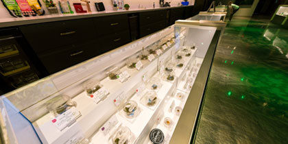 Blackjack Collective