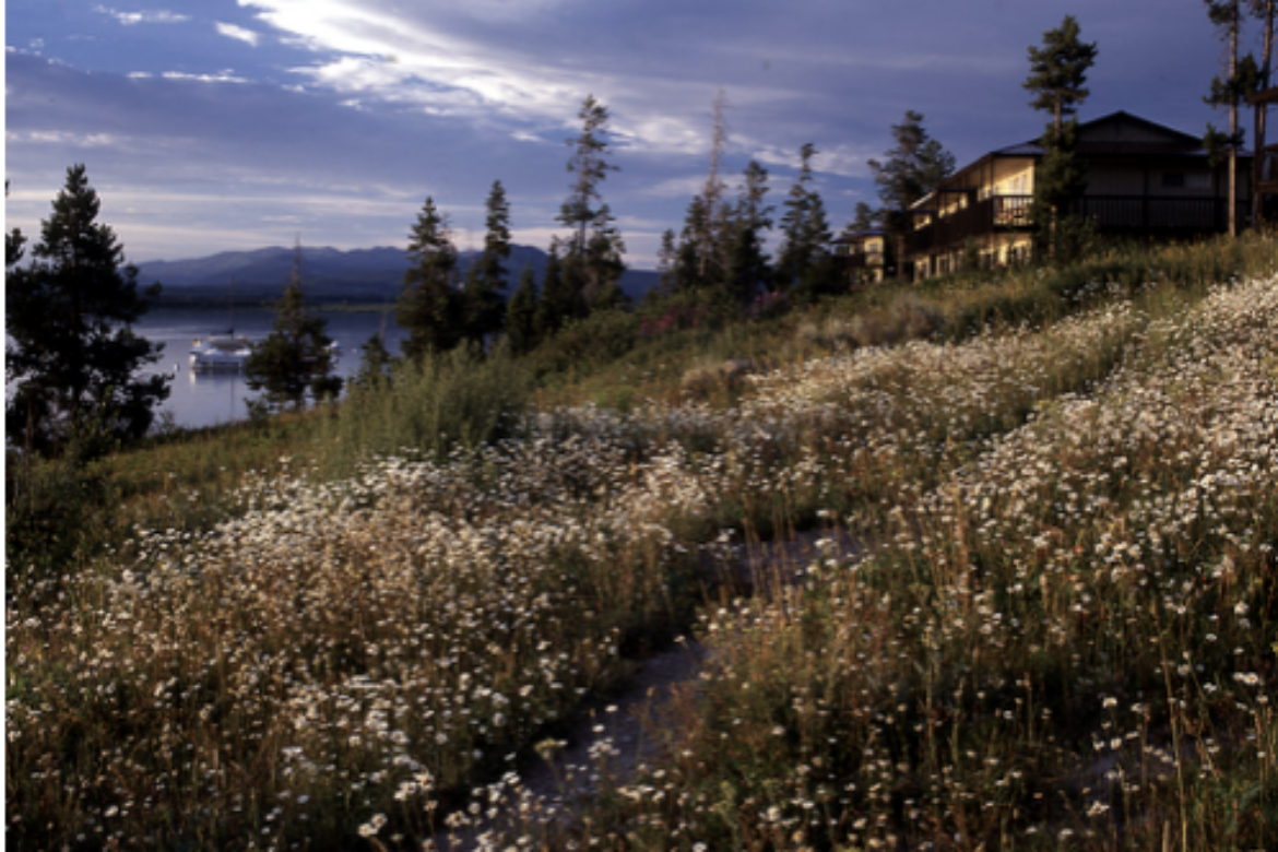 SIGNAL MOUNTAIN LODGE IN GRAND TETON NATIONAL PARK TO OPEN
