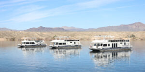 Lake Mead Adventure Tours