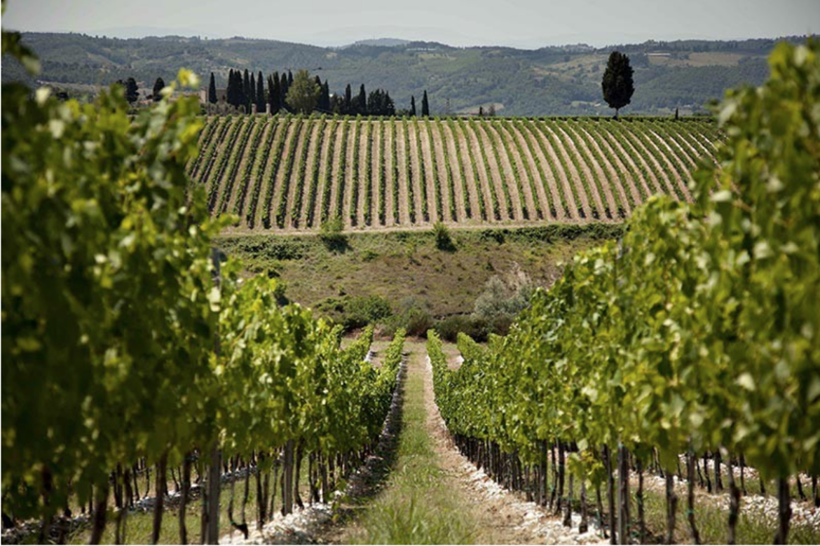 FERRARO’S ANNOUNCES NEXT TASTE & LEARN FEATURING  THE ANTINORI WINERY