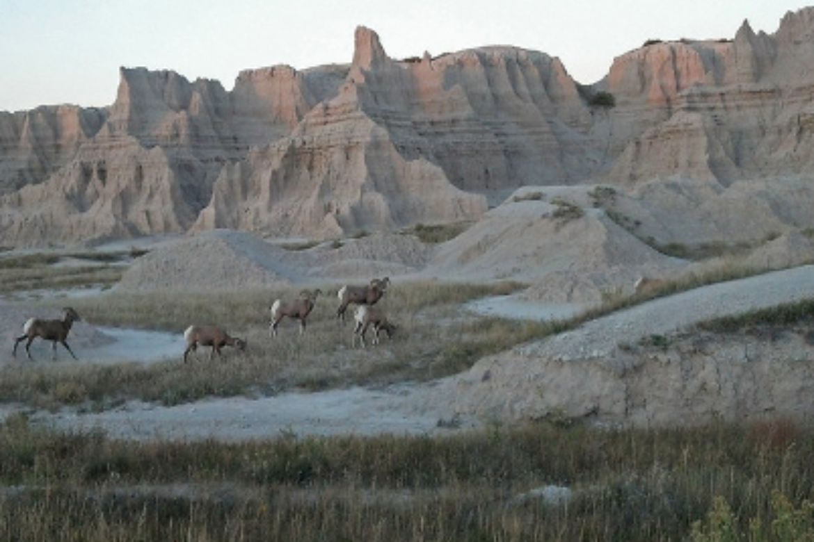 FOREVER RESORTS ANNOUNCES REOPENING OF CEDAR PASS LODGE INSIDE BADLANDS