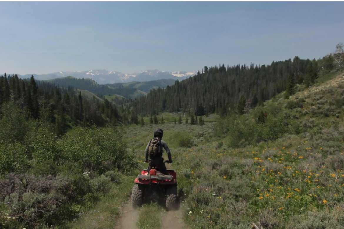 EXPERIENCE SUMMER WITH SCENIC SAFARIS SIDE-BY-SIDE  GUIDED TOURS AND PRIVATE RENTALS