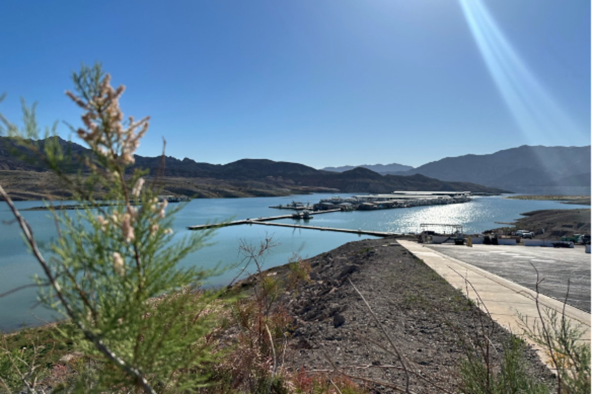 LAKE MEAD MOHAVE ADVENTURES REOPENS  LAUNCH RAMPS AT LAKE MEAD MARINA