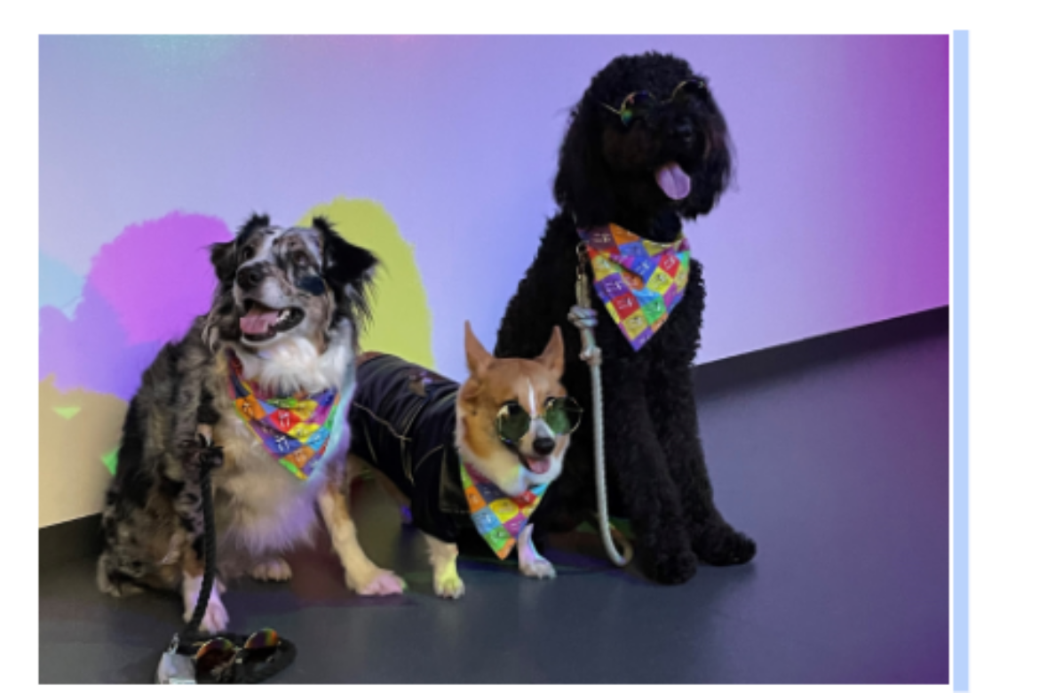 PARADOX MUSEUM LAS VEGAS INVITES COMMUNITY TO BRING THEIR DOGS TO “PARADOX PUPPY PAWTY” EVENT