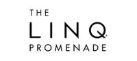 29.Linq