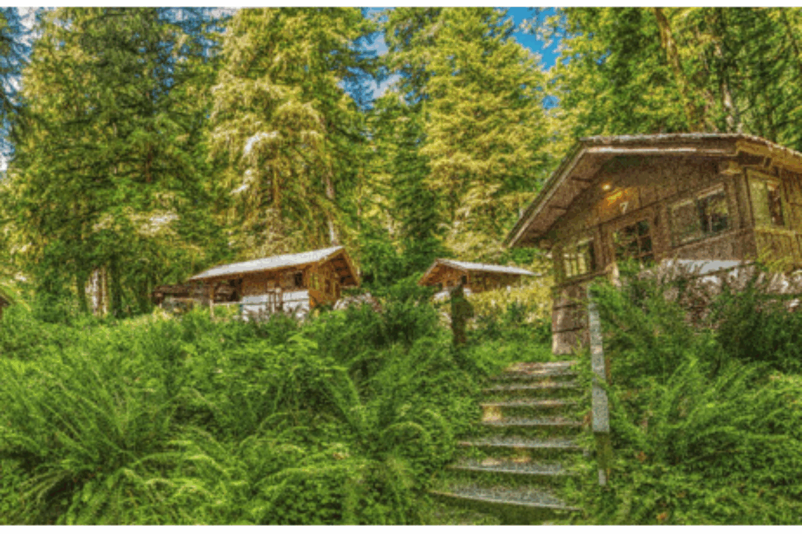 Guest Services, Inc., Launches Smith Creek Village At Silver Falls State Park