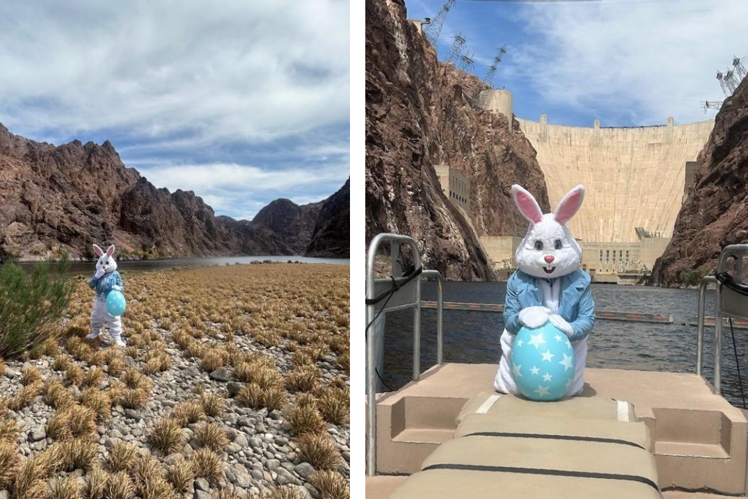 Easter Bunny At Hoover Dam And At The Colorado River